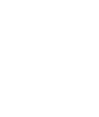 Custom icon